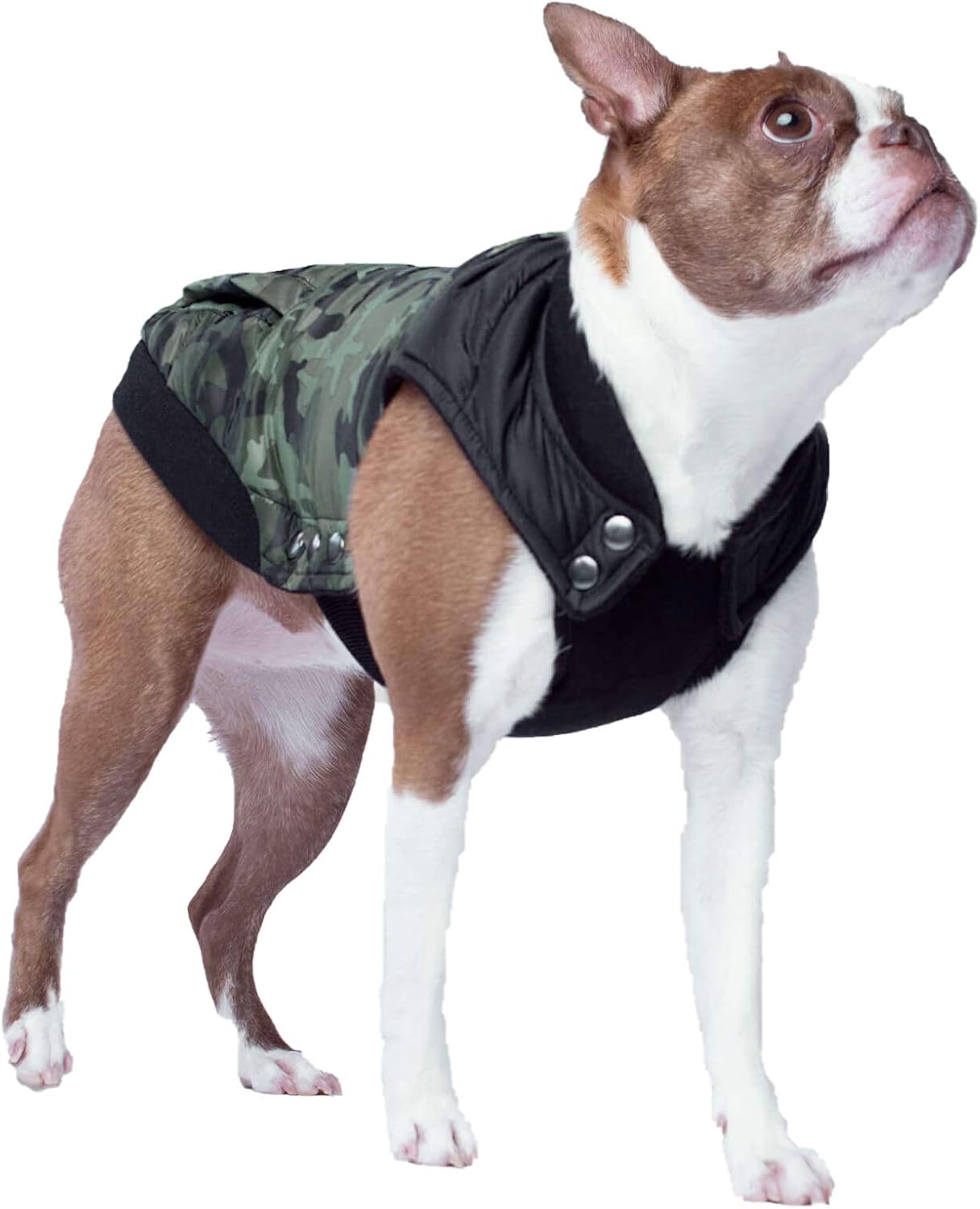 Canada Pooch Very warm BigaMart