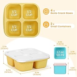 Caperci Lunchable Snack Containers - 4 Compartments