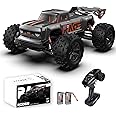 dexinco Remote Control Car, 1:16 Remote Control Truck, Hobby Grade RC Cars, 4X4 All Terrain Off-Road RC Truck, 40 KM/H High Speed IPX4 Waterproof Monster Truck, 2 Batteries, Gift for Adults Kids