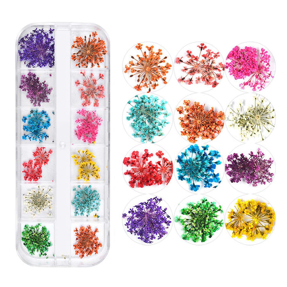 Candeal 72 Pièce 36 Couleurs Véritable Fleurs Séchées Nail