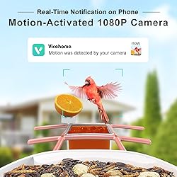 birdsnap® TUC- Smart Bird Feeder with Camera+Solar
