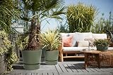 elho Greenville Round 30 Large Plant Pot with Integrated Water Reservoir view 6