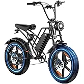 E500 Electric Bike for Adults 1000W Peak Motor, 20" Fat Tire Dirt E-Bike with 35MPH, 40 Miles PAS Range, Electric Bicycles wi