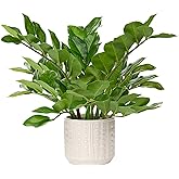 Briful Faux Plants Indoor 17" Artificial ZZ Plants in Ceramic Pot Fake Potted Zamioculcas Silk Plants for Home Table Decor Bedroom Aesthetic (1Pack)