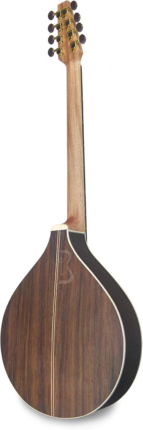 APC instruments IRB312 Irischer Bouzouki, Nickel - Image 4