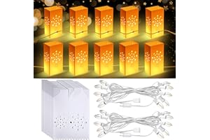 Geetery 20 Pcs Electric Reusable LED Luminary Bags with 2 String Lights Outdoor Luminary Bags Plug in and Pathway Lighting for Christmas Halloween Thanksgiving(Circular Aperture Style)