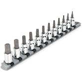 TEKTON Torx Bit Socket Set, 12-Piece | SHB91103 | 3/8 Inch Drive, (T10 - T60), Socket Rail