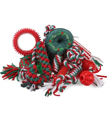 EXPAWLORER Weihnachts-Hundespielzeug-Set – 15 Teile – Quietsch-, Seil- & Kauspielzeug Für Alle Hunderassen