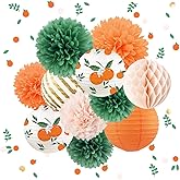 NICROHOME EUR Little Cutie Baby Shower Decorations, 12 PCS Light Orange Sage Green Tissue Pom Poms Citrus Paper Lanterns Confetti 50G for Fruit Themed Party Spring Summer Party Birthday Party Supplies