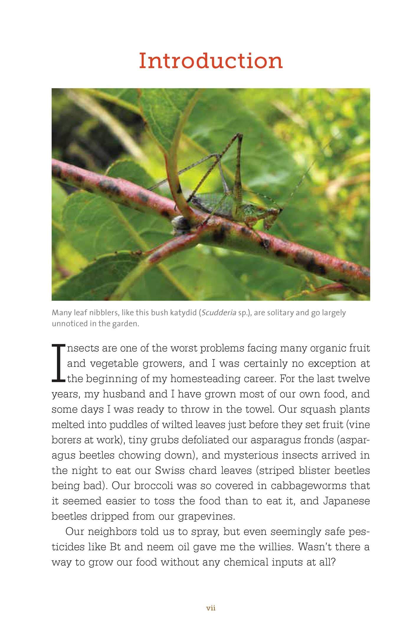 Amazon The Bug Free Organic Garden Controlling Pest Insects Without Chemicals Hess Anna Organic