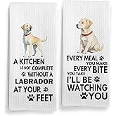 Qeheb Labrador Retriever Kitchen Towels, 16x24 Inch, Modern, Polyester, Yellow Lab Gifts, Labrador Retriever Dog Hand Dish Tea Towels for Kitchen