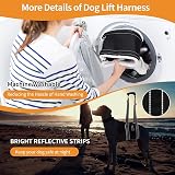 BRO Medium Dog Mobility Aids Support Sling for Hind Legs Lift Harness view 8
