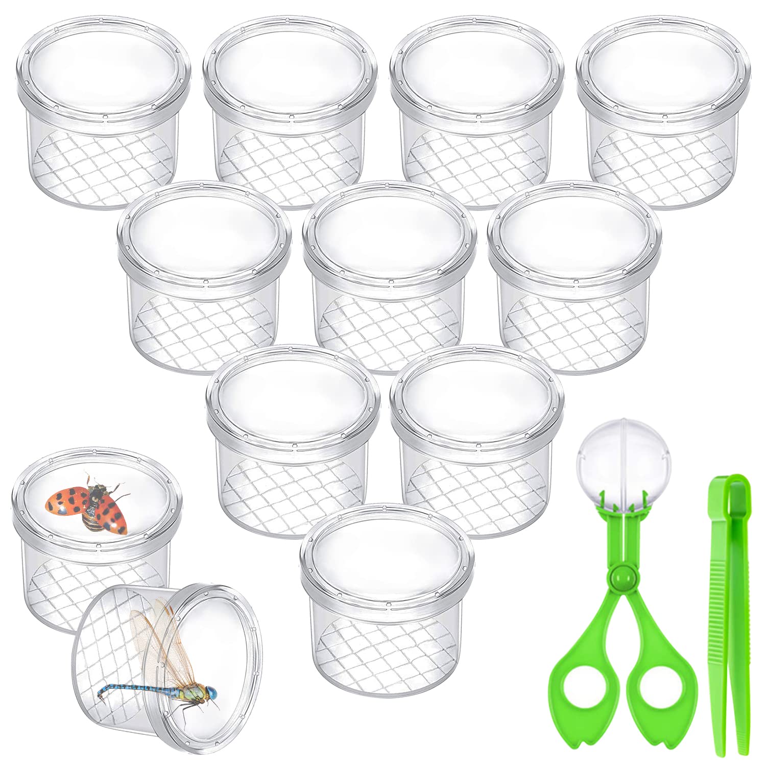 AFAIK Cup Magnifying Glass for Children, Magnifier Box, 12 Pieces for Science/Biology & Beetle Collecting - Insects Researcher Set Children