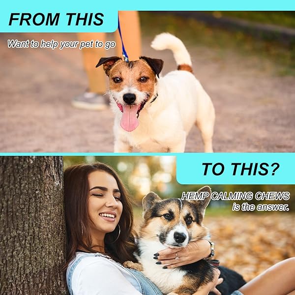 HEMP CALMING CHEWS FOR DOGS, 150 CHEWS PREMIUM DOG CALMING TREATS WITH HEMP OIL – ANXIETY, SEPARATION, BARKING, STRESS RELIEF, MELATONIN FOR DOGS, SLEEP CALMING AID FOR ALL AGES, BREEDS & SIZE