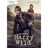 Harry Wild - Series 4 [DVD]