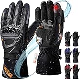 IRON JIA'S Winter Motorcycle Gloves, CE Level 1KP Protection, Cold Weather Waterproof Windproof Touchscreen Riding Gear (Black, L)