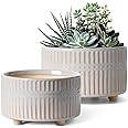 LE TAUCI Succulent Pots, 6.5+8 Inch Ceramic Indoor Plant Pot with Drainage Hole, Modern Round Decorative Flower Pot, Set of 2, Reactive Glaze Star White