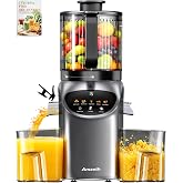 Juicer Machines with 6.5" Large Chute,3-in-1 Cold Press Juicer for Whole Vegetables Fruits 450W, Masticating juicer Easy to Clean Juice Extractor Machine for Making Nut Mike, (Premier Space Gray)