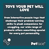 Petface Foodie Faces Roast Chicken Plush Dog Toy with Squeaker view 5