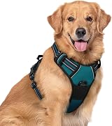 rabbitgoo Large Dog Harness No Pull Reflective Adjustable Vest XL Dark Green