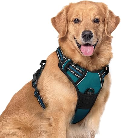 rabbitgoo Large Dog Harness No Pull Reflective Adjustable Vest XL Dark Green