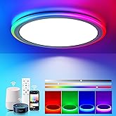 BLNAN Smart RGB LED Flush Mount Ceiling Light with Remote, 13 Inch 24W Dimmable Color Changing Low Profile Wired White Fixture, Works with Alexa Google Home App for Bedroom Living Kids Room Party