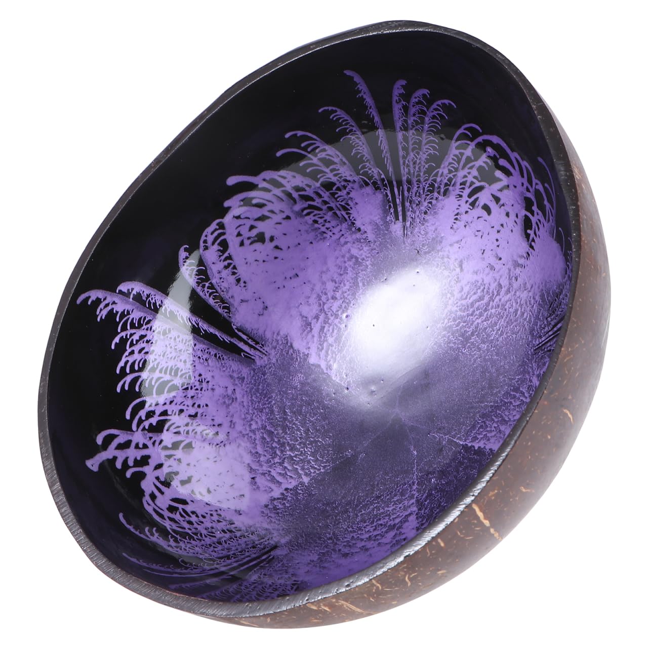 HEMOTON Natural Coconut Shell Bowl Decorative Key Storage Box Candy Container Coconut Bowls Nut Holder for Home and Office Use (Purple)