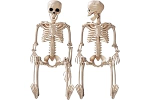 Daricano Halloween Decoration Outdoor 2 Pack Skeleton, 16" Plastic Posable Skeleton with Movable Joints, Small Hanging Skeletons for Halloween Decor, Haunted House Graveyard Props