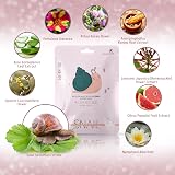 BeautyKei Korean Snail Jelly Sheet Mask Pack of 10 - Deep Moisturizing view 3