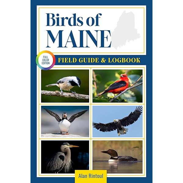 LILO & STITCH [Blu-ray] [Region Free] - DVD W8VG The Cheap Fast Free - Foto 11