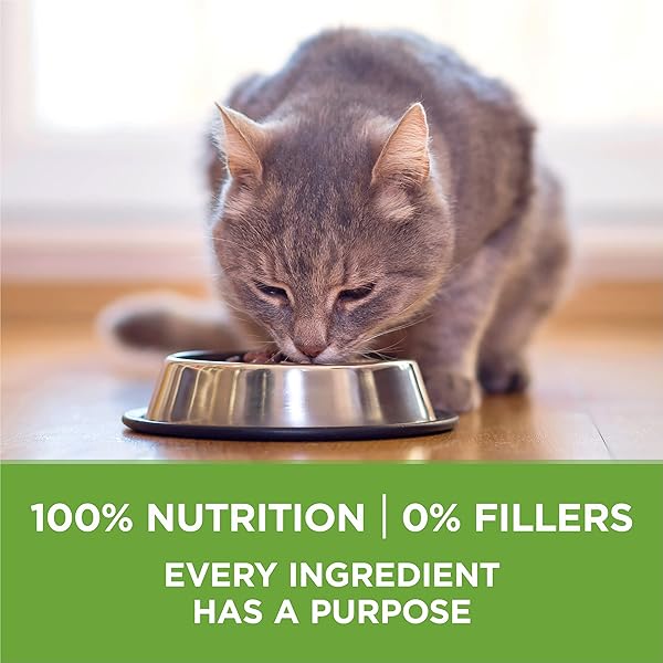 PURINA ONE NATURAL, LOW FAT, WEIGHT CONTROL, INDOOR DRY CAT FOOD, +PLUS INDOOR ADVANTAGE – 7 LB. BAG