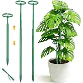 Telescoping Monstera Plant Stakes, 12.5-48.4IN Indoor Plant Support- 3Pack | Extendable Plant Stakes for Climbing Plants, Premium Stainless Steel Material Plants Sticks for Orchids, Tomatoes