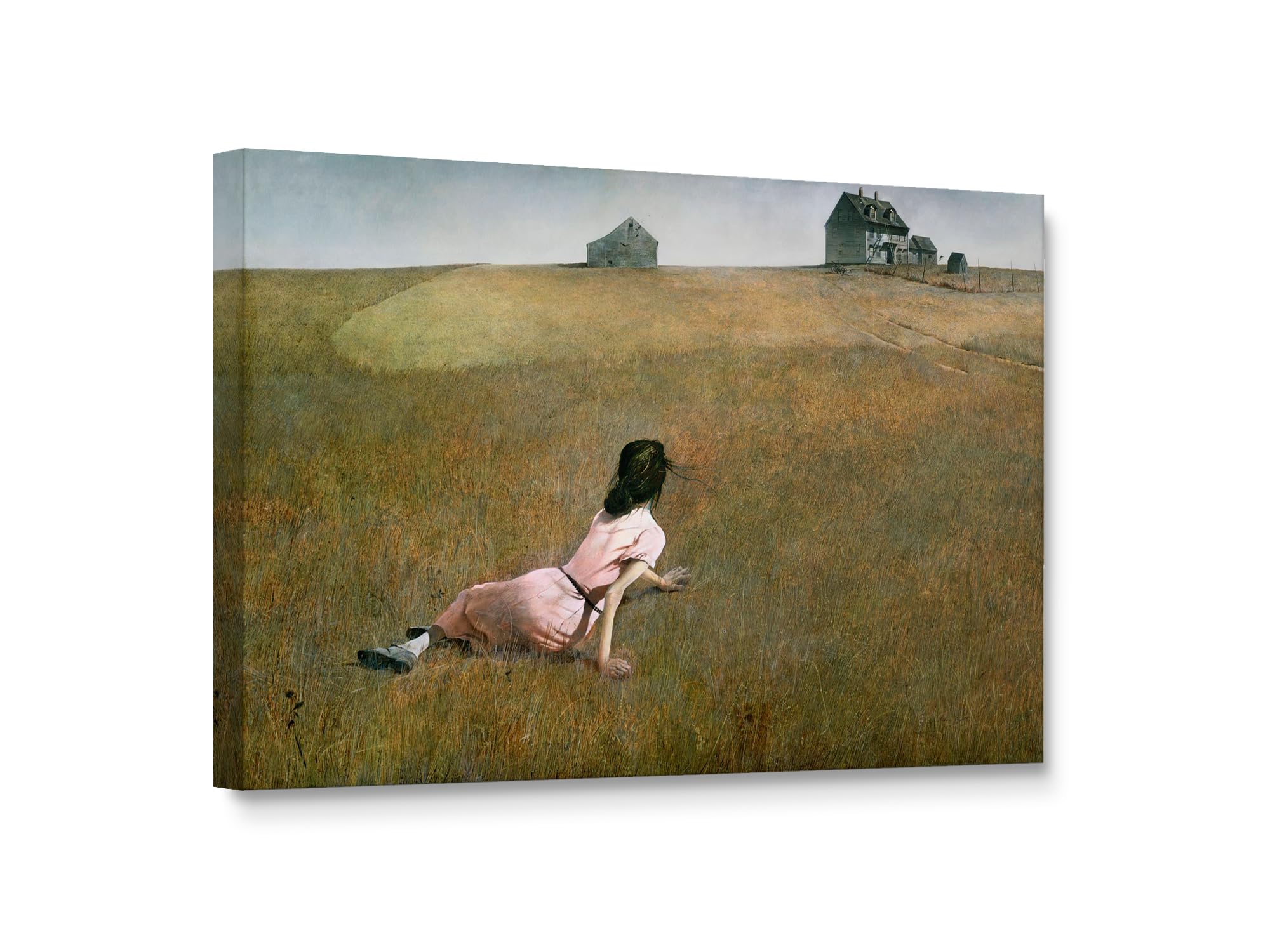 Niwo Art World's Most Famous Paintings Series, Wall Art, Canvas, Stretched Ready to Hang Art Decoration 18"x12"x1.5" 17 Christina's World