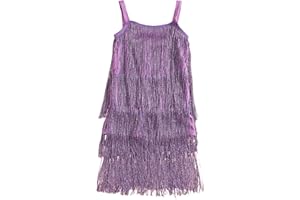 WALLARENEAR Kids Sequin Fringe Dress Sparkling Tassel Sleeveless Dress Little Girls Dance Wear Party Latin Dance Dress 1-6T