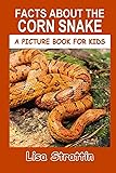 Facts About the Corn Snake