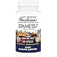 Host Defense Stamets 7-7 Species Blend - Mushroom Supplement for Immune Support - Includes Royal Sun Blazei, Cordyceps, Reishi, Maitake, Lion's Mane, Chaga & Mesima - 60 Capsules (30 Servings)*