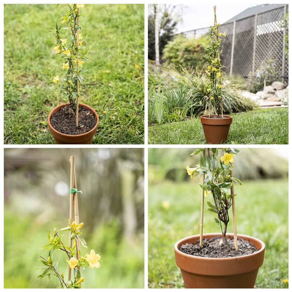 Mininfa Estacas de bambú Natural, estacas de jardín ecológicas ...