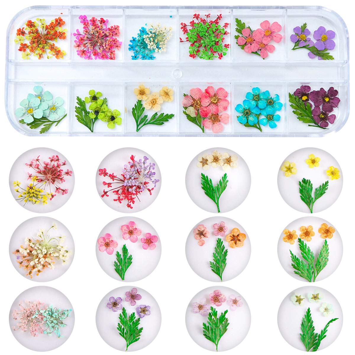 2 Boxes Dried Flowers for Nail Art, KISSBUTY 24 Colors Dry Flowers Mini Real Natural Flowers Nail Art Supplies 3D Applique Nail Decoration Sticker for Tips Manicure Decor (Gypsophila Flowers Leaves): Beauty