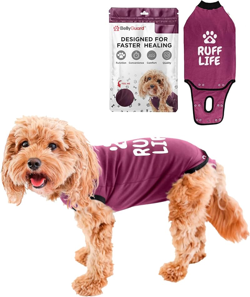 BellyGuard Dog Recovery Suit After Surgery Cozy Bodysuit