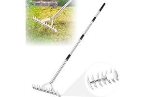 CAROD 62" Thatch Rake, 15-Inch Wide Lawn Thatching Rake for Cleaning Dead Grass, 11 Curved Steel Tines Double-sided Dethatching Rake for Garden, Lawn, Yard Fertilizing Reseeding Cultivator