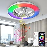 BAYSQUIRREL Wifi Low Profile Ceiling Fan with