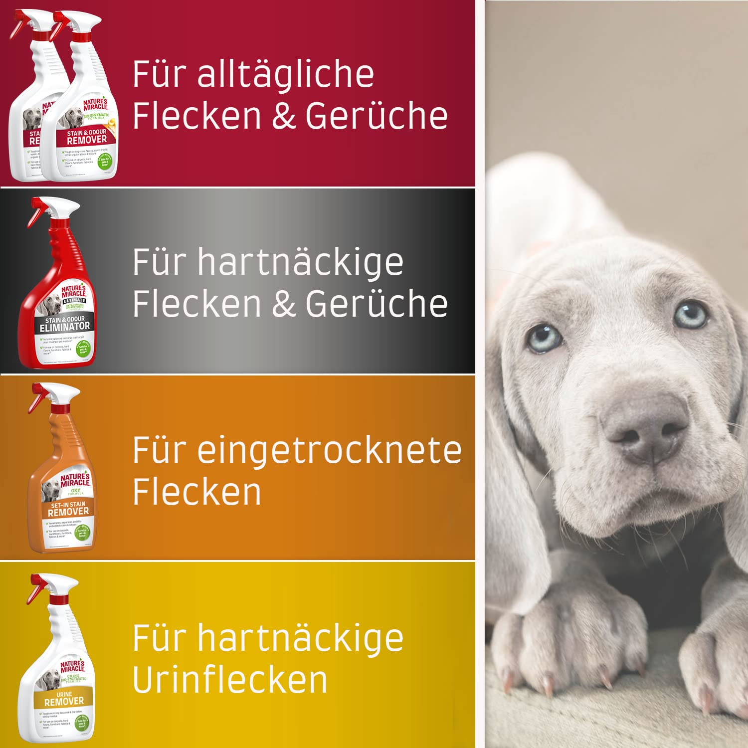 Nature’s Miracle Flecken- & Geruchsentferner Hund, 709 ml 7