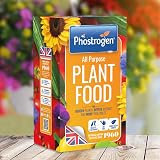Phostrogen All Purpose Plant Food 2kg Fertiliser for Garden Indoor Edibles view 7