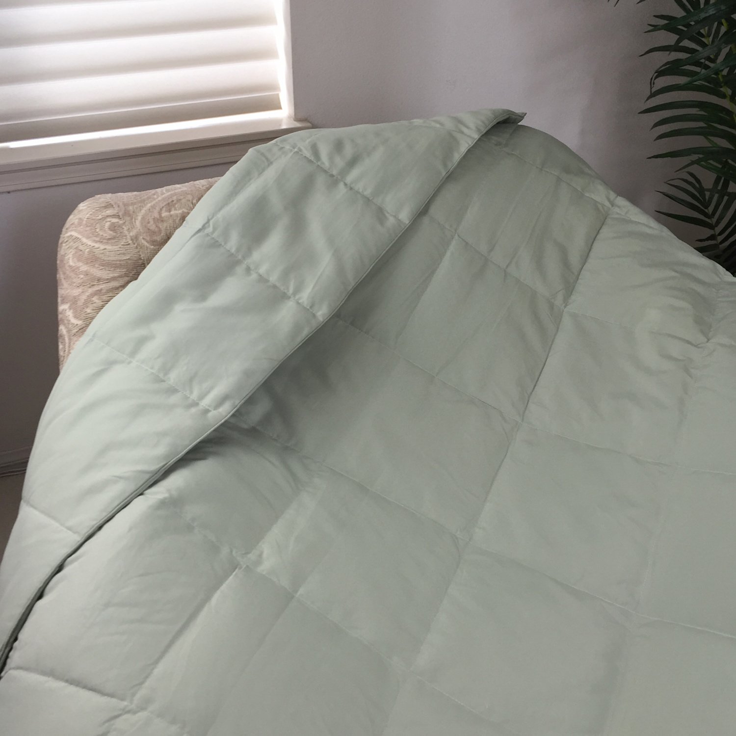 Luxlen Seasons Sage Down Throw Blanket for Couch / Sofa eBay