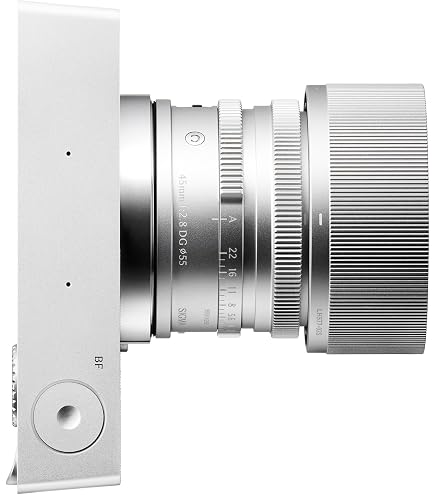 Amazon.com : Sigma 35mm F2 DG (Silver) | Contemporary for L Mount