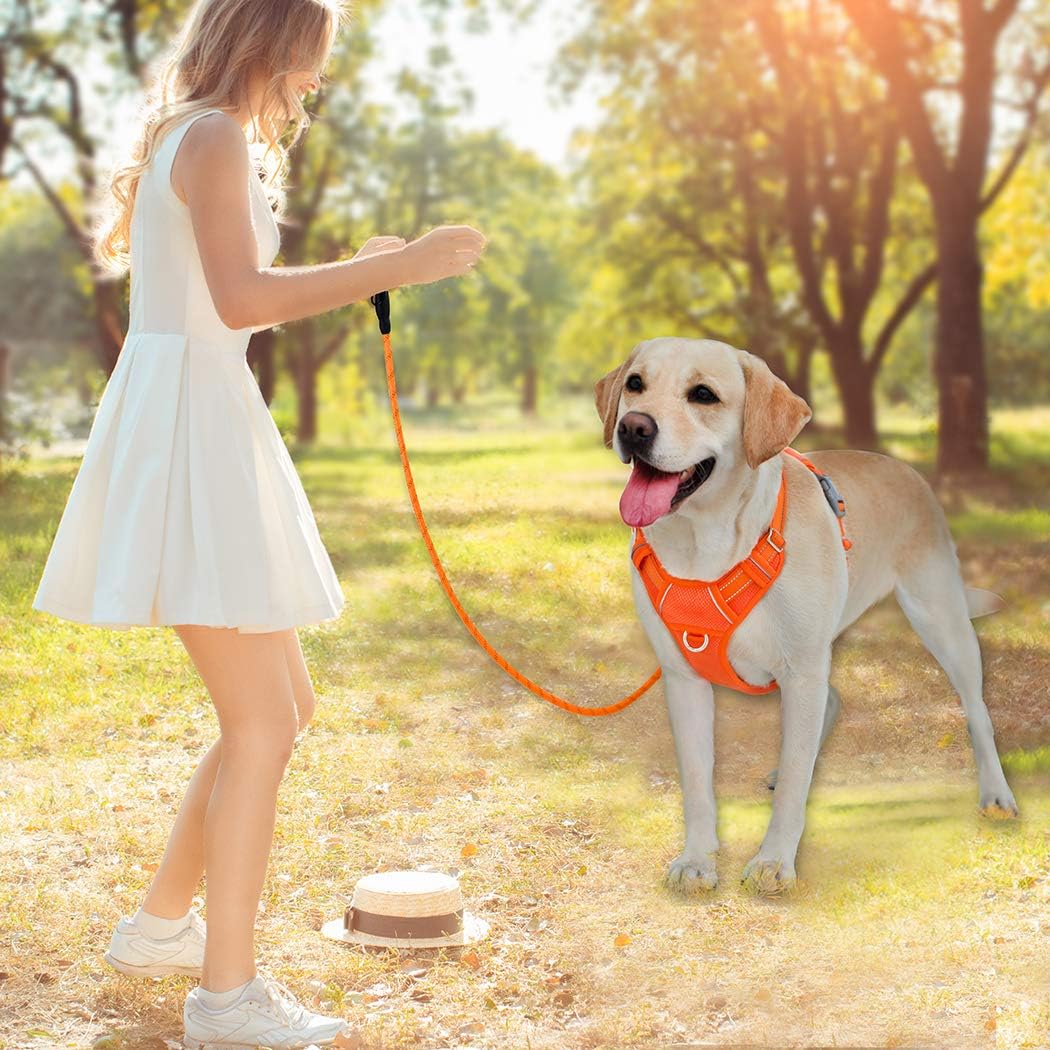 BARKBAY No Pull Dog Harness Front Clip Heavy Duty Reflective Easy Control Handle for Large Dog Walking with ID tag Pocket(Orange,S) - Image 3