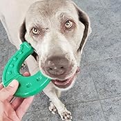 bullymake toys amazon