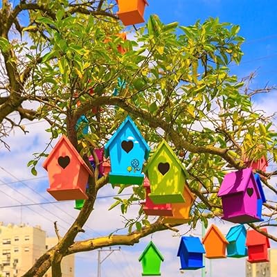 Buy Coodoo 2 Pack Bird House Kits Arts And Crafts For Kids Ages 8 12 Diy Arts Crafts House Gardening For Kids Teens Boys Girls Ages 4 8 Online In Italy B08f9xvcly
