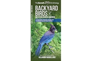Backyard Birds of Western North America: A Folding Pocket Guide to Common Backyard Birds