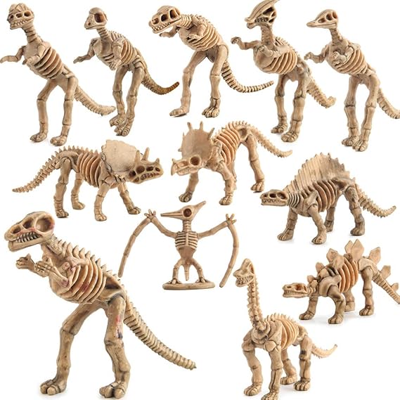 Fantarea Dinosaur Skeleton Fossils Assorted Bones 12 PCS